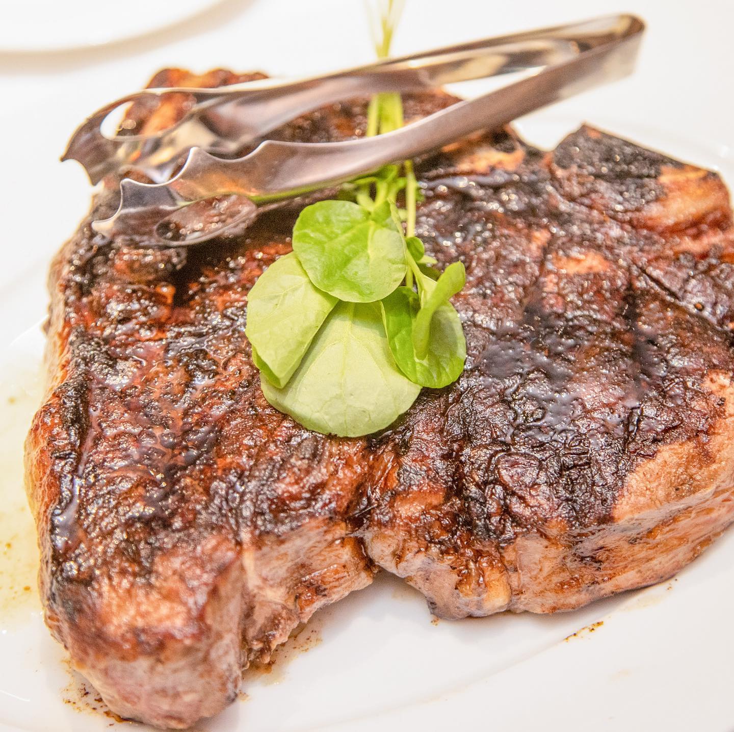 Restaurants Bonita Springs Florida, Steak House, Seafood Chops Bonita